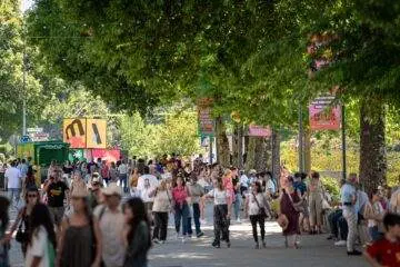 Mimo Festival 2025